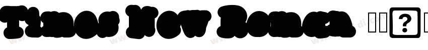 Times New Roman 常规字体转换